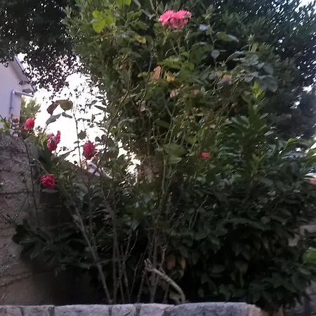 Nevija Appartamento Novi Vinodolski