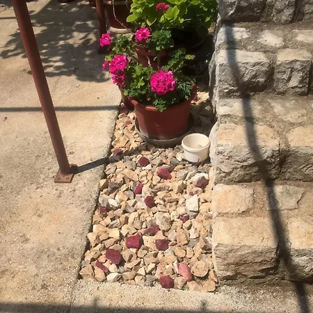 Nevija * Novi Vinodolski