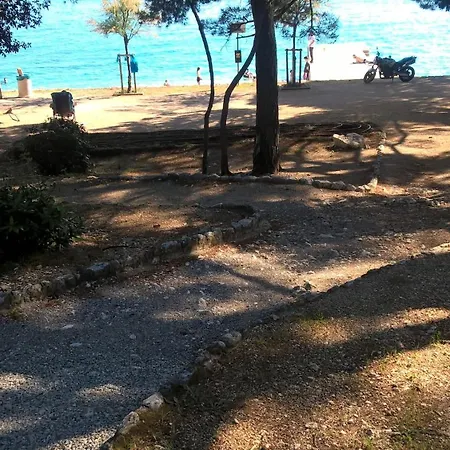 Nevija * Novi Vinodolski
